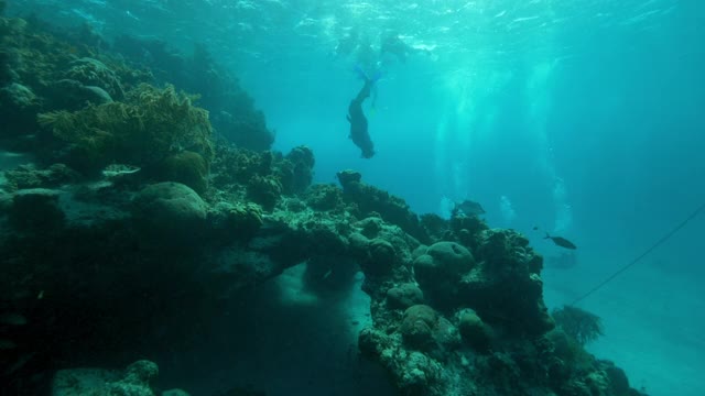 慢镜头:人们在海边游泳时探索珊瑚礁——伯利兹城视频素材