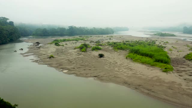 航拍:在浓雾中，宽阔的沙质河岸在丛林河岸之间横跨亚马逊河视频素材