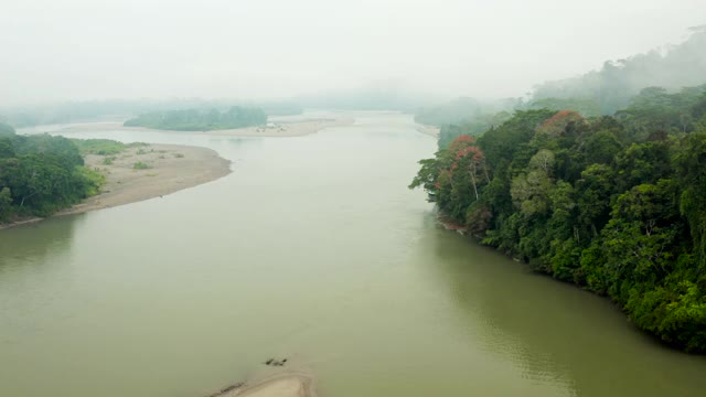 空中拍摄:广袤的河流在迷雾中无限延伸，茂密的丛林河岸——厄瓜多尔亚马逊视频素材