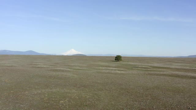 空中向前:小树点草地延伸到朦胧的山麓和锐利的雪峰-波特兰，俄勒冈州视频素材