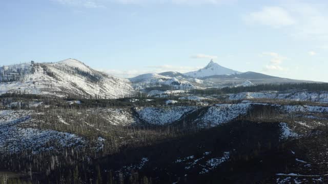 空中返回:令人惊叹的雪山和山麓覆盖在松林在朦胧的阳光-波特兰，俄勒冈州视频素材