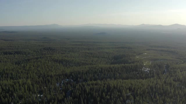 空中下降:壮观的松林在雪延伸到遥远的地平线上朦胧的山在阳光-波特兰，俄勒冈州视频素材