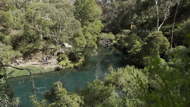 澳大利亚蓝山国家公园:在森林中岩石悬崖附近的树木间的河流视频素材