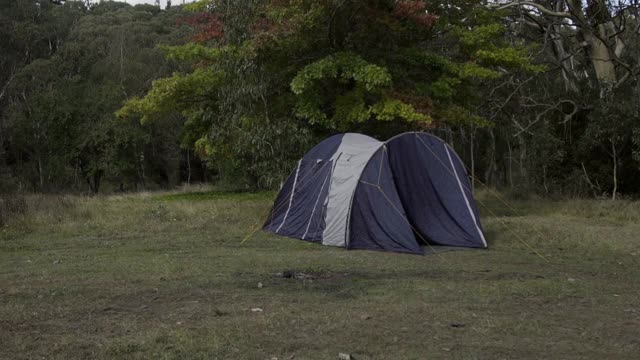 翘起:蓝色帐篷在草地上对着绿树在国家公园-蓝山国家公园，澳大利亚视频素材