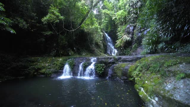 封锁:瀑布溅在岩石中的植物在森林-黄金海岸，澳大利亚视频素材