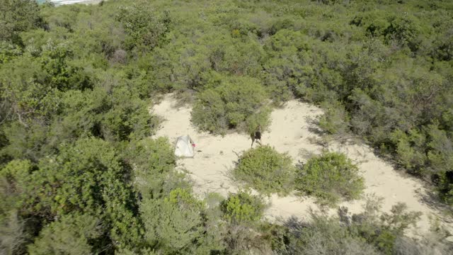 空中向后倾斜:女人在绿树中走过帐篷-海豹岩石，澳大利亚视频素材