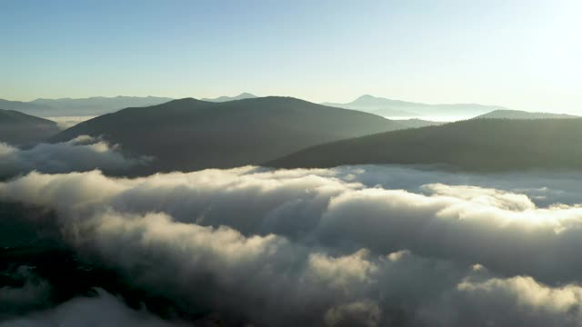 山间雾气弥漫，山顶上覆盖着秋天的针叶林视频素材