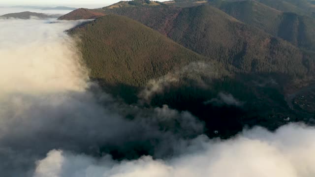 山间雾气弥漫，山顶上覆盖着秋天的针叶林视频素材