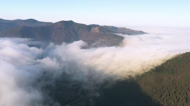 山间雾气弥漫，山顶上覆盖着秋天的针叶林视频素材