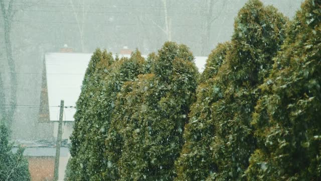 城市下雪了视频素材