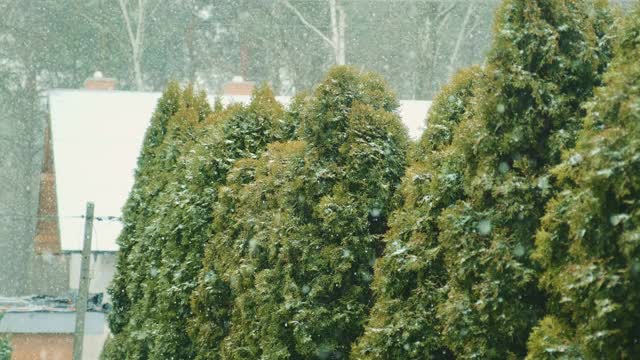 城市下雪了视频素材