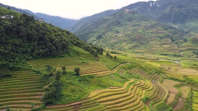 景区内有美丽的自然景观山丘、高山和梯田。视频素材