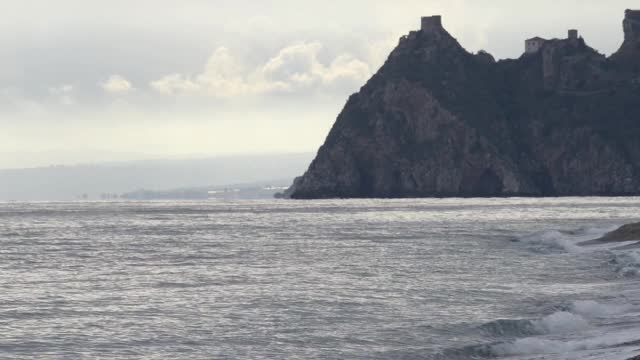 海滩上一只孤独的海鸥视频素材