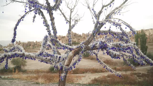 在邪恶之眼树的地标视角，蓝色水晶，山谷之间作为一个侵蚀居民建筑在山脉Goreme村没有人住在那里，土耳其，乡村卡帕多西亚景观Goreme国家公园。视频素材