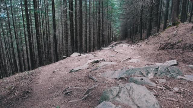 一名背包游客沿着石山步道行走在森林里视频素材