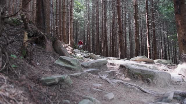 一名背包游客沿着森林中的石山小路走下去视频素材