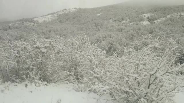 从车窗看雪域森林旅行视频下载