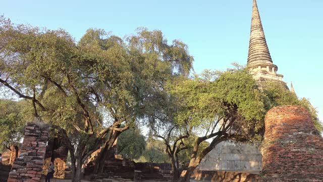 泰国大城府的佛寺视频素材