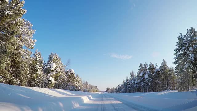 在一个阳光明媚的日子里，在冬季森林公路上行驶视频素材