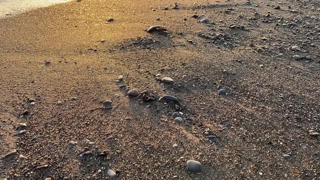 日落时的海浪和沙滩上有潮湿的沙子视频下载