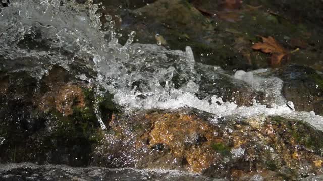 Lunaret自然保护区，蒙彼利埃，Hérault部门，Occitanie，法国。这条河Lez视频素材