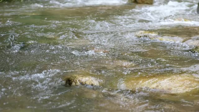 河水在河里流动视频素材