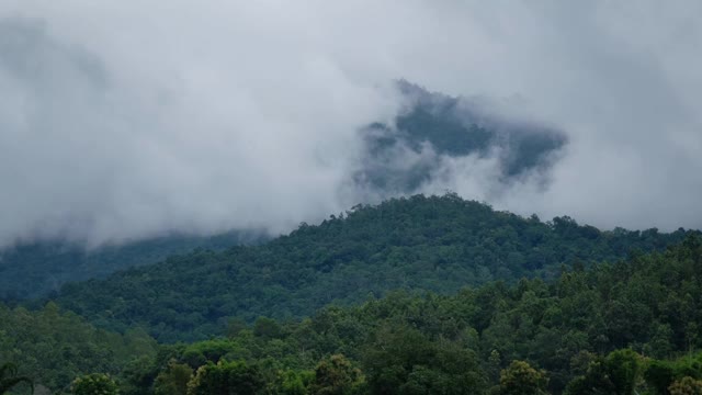 有雾的绿化，雨林，山脉和丘陵的景观图像视频素材