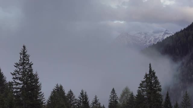 高山阿尔卑斯山景观与树木在雾云视频素材