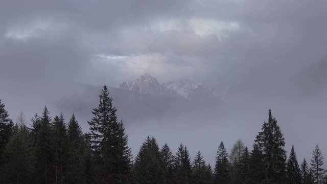 高山阿尔卑斯山景观与树木在雾云视频素材