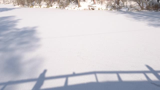 雪地上夫妻的影子。视频素材