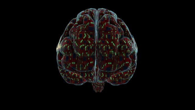 3d数字大脑由印刷电路板和处理器制成。数字神经网络。大脑能量脉动视频素材