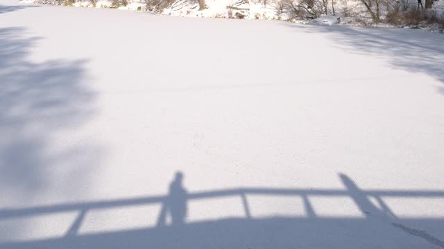 情侣的阴影，雪的背景。视频素材