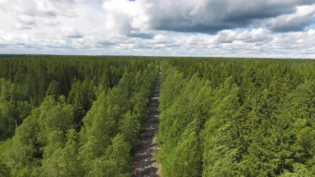 在夏天通过森林的道路鸟瞰图视频素材