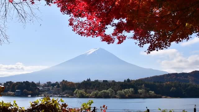 富士山和富士山五湖的秋叶颜色:川口湖视频素材