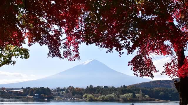 富士山和富士山五湖的秋叶颜色:川口湖视频素材