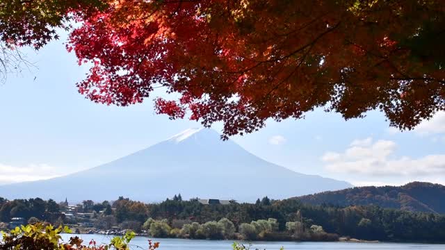 富士山和富士山五湖的秋叶颜色:川口湖视频素材