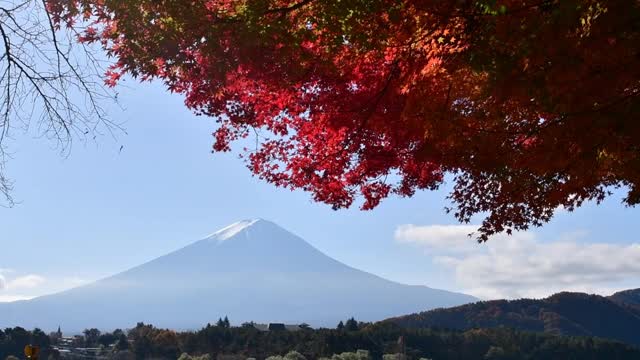 富士山和富士山五湖的秋叶颜色:川口湖视频素材