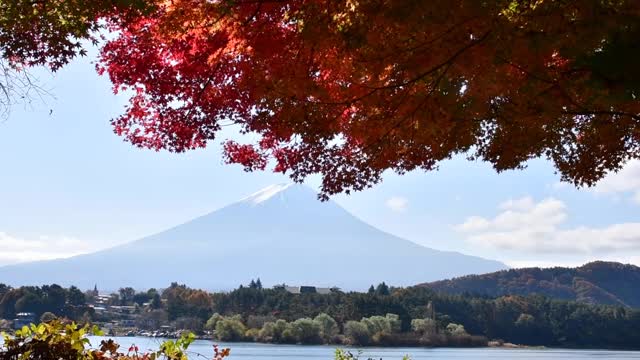 富士五湖的秋叶色:川口湖视频素材