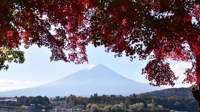 富士五湖的秋叶色:川口湖视频素材