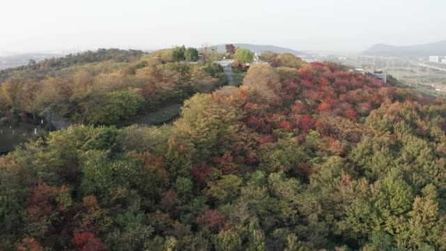 山顶公园鸟瞰图视频素材