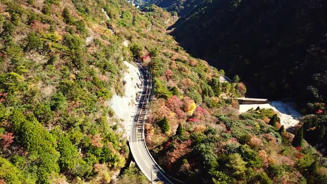 鸟瞰秋天的山口视频素材