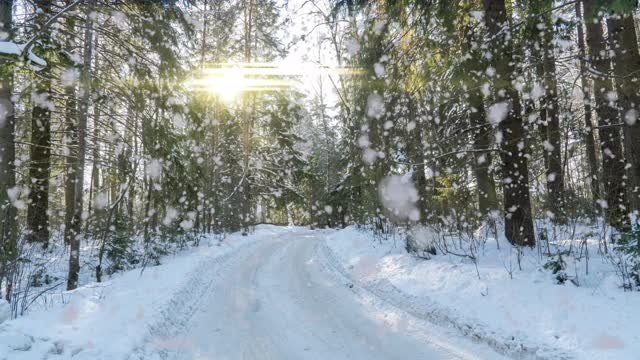 下雪的森林。从上往下看冰雪森林、自然景观、冰冻森林、阳光景观冬季森林视频素材