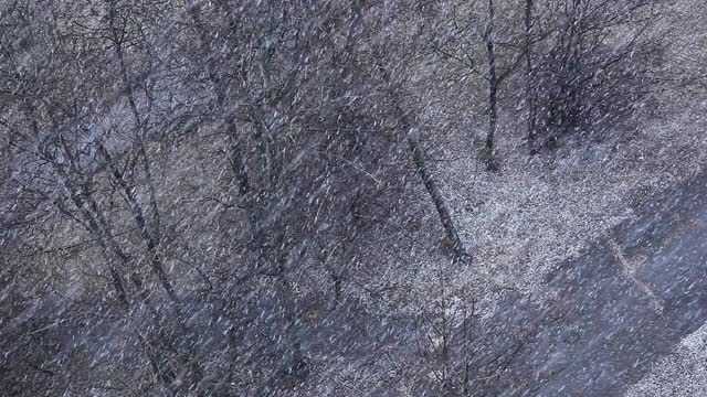 冬天。降雪。这个城市下大雪。冬天的雪。城市里有暴风雪视频素材