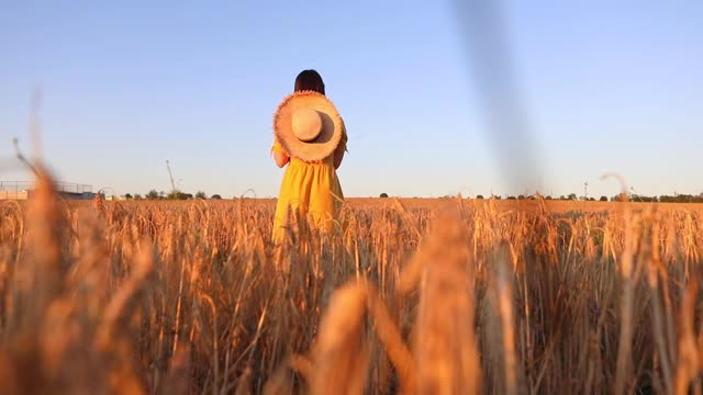 日落时分，麦田里的女人和男人在纺纱视频素材