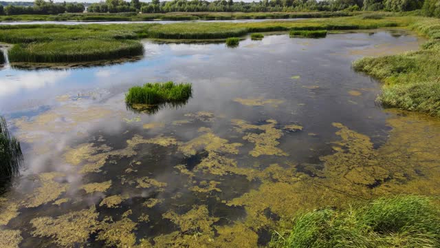 在阳光明媚的夏日，飞越湿地视频素材