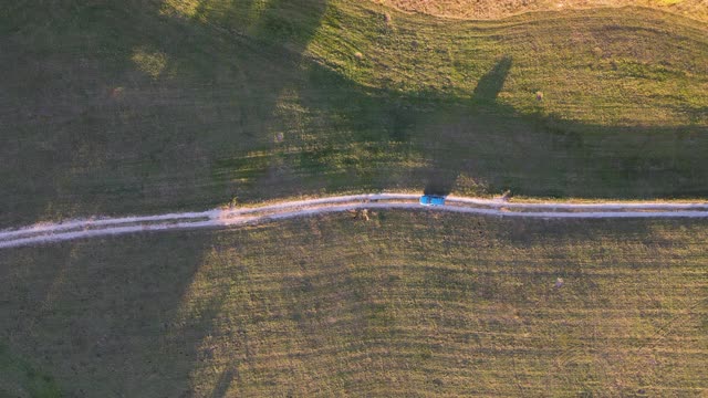 鸟瞰图上的狗跑在一辆汽车前行驶在泥泞的道路上在秋天视频素材