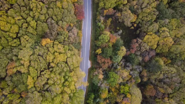 在秋天的乡村公路上跟踪一辆汽车视频素材