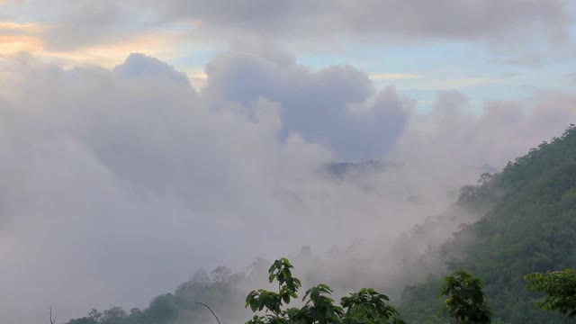 云雾飘过雨林视频素材