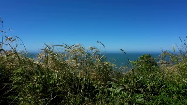 崎岖的海岸线风景优美的詹纳加州无人机视图视频素材