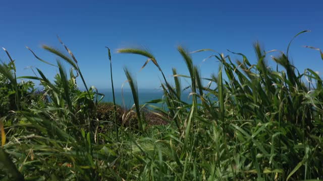 拱形岩石崎岖的海岸线风景优美的詹纳加州无人机视图视频素材